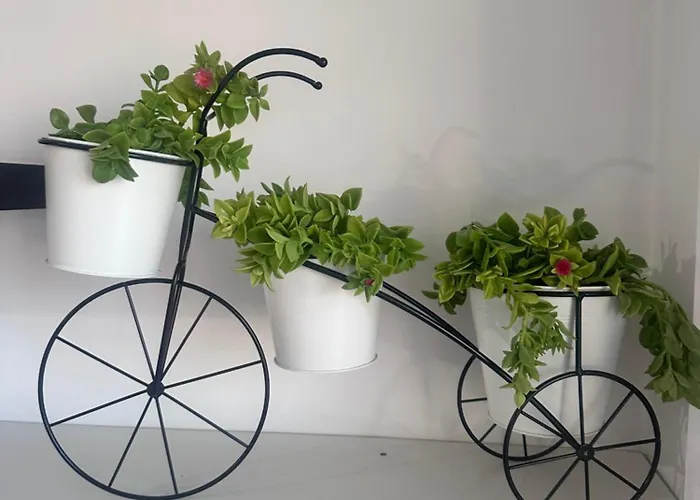 Faneromeni 33 Lägenhet