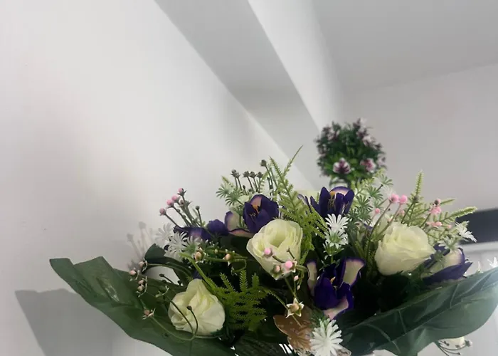 Faneromeni 33 Lägenhet